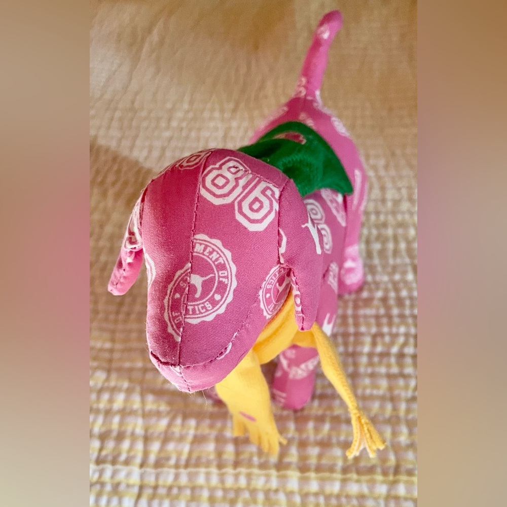🐶 Victoria's Secret Pink Collectible Dog 🐶